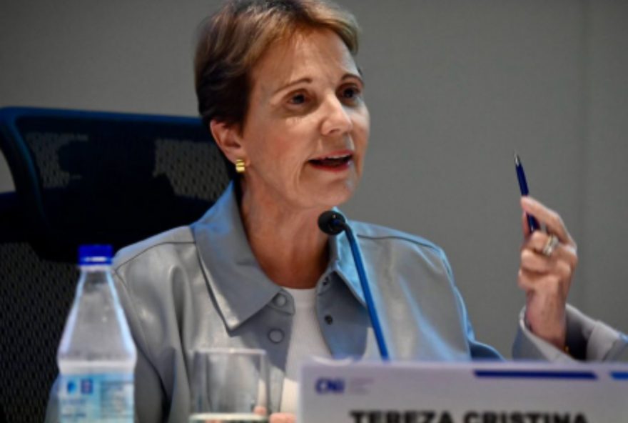 tereza-cristina-descarta-ser-vice-de-chapa-com-flavio-bolsonaro-no-momento tereza-cristina-descarta-ser-vice-de-chapa-com-flavio-bolsonaro-no-momento