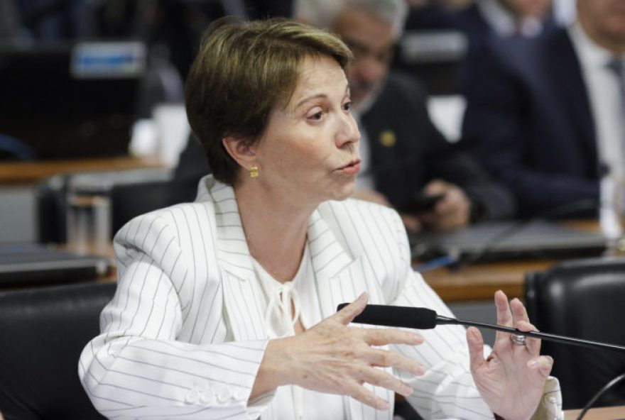 CelsoAmorim-Senado-CRE-Venezuela-15ago2024 O assessor especial para assuntos internacionais do presidente Luiz Inácio Lula da Silva (PT), Celso Amorim, participa de audiência da Comissão de Relações Exteriores do Senado. Amorim deve prestou esclarecimentos sobre a viagem a Caracas para acompanhar as eleições na Venezuela. O governo brasileiro tem enfrentado críticas por sua posição sobre o resultado das eleições na Venezuela. | Sérgio Lima/Poder360 - 15.ago.2024