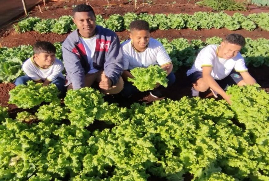 Hortas escolares agregam conhecimento e estimulam alimentação saudável de estudantes da rede estadual de ensino (Fotos: Seduc)