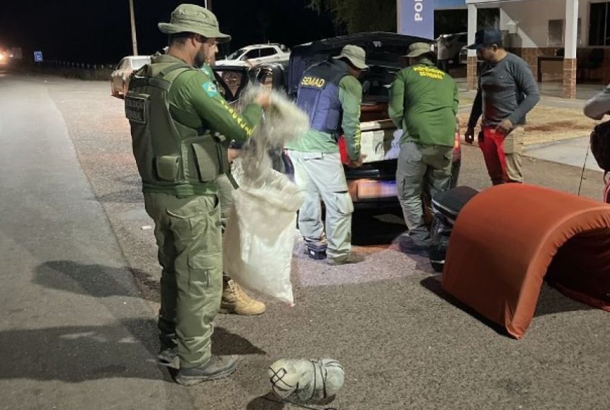 Operação da Semad contra pesca ilegal no rio Araguaia completa seis semanas 
(Fotos: Reprodução/ Semad-GO)