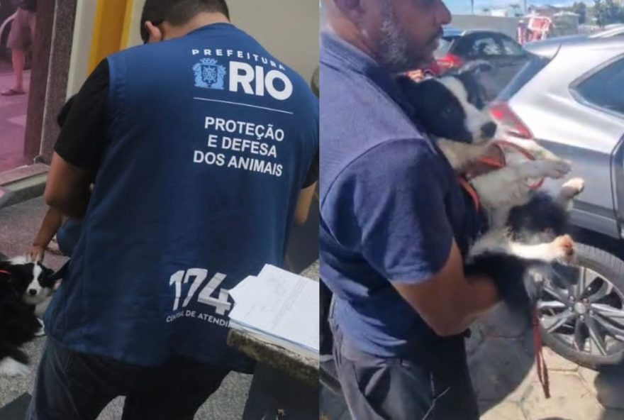 titulo3A-resgate-emocionante3A-cachorro-abandonado-e-salvo-de-carro-na-orla-de-copacabana titulo3A-resgate-emocionante3A-cachorro-abandonado-e-salvo-de-carro-na-orla-de-copacabana