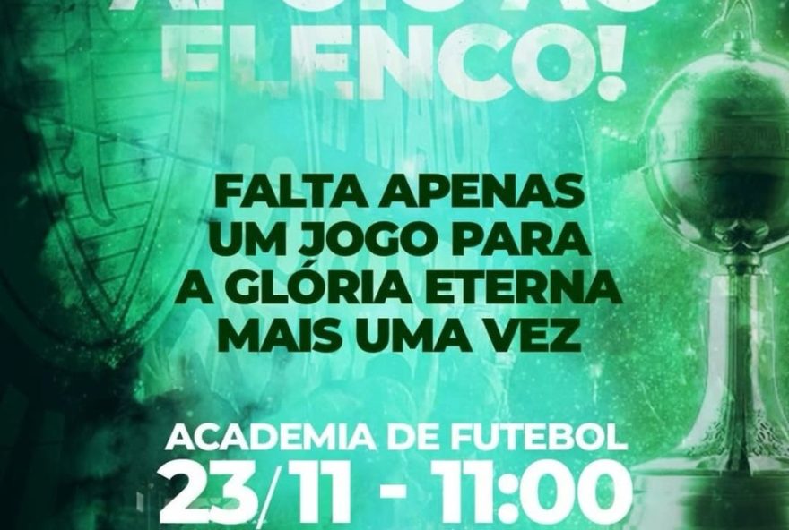 torcida-do-palmeiras-faz-grande-festa-de-apoio-antes-da-final-da-libertadores
