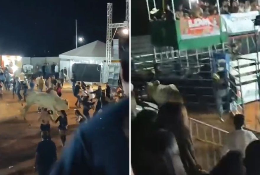 touro-escapa-durante-rodeio-e-causa-susto-ao-perseguir-publico-em-goias3A-veja-o-video