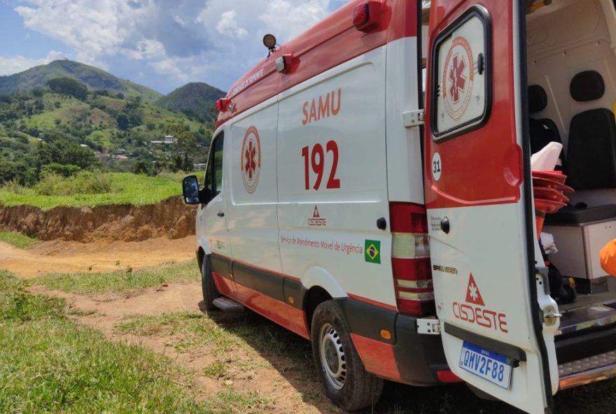 trabalhador-e-atacado-por-enxame-de-abelhas-em-torre-de-energia-em-juiz-de-fora3A-relato-e-medidas-de-prevencao