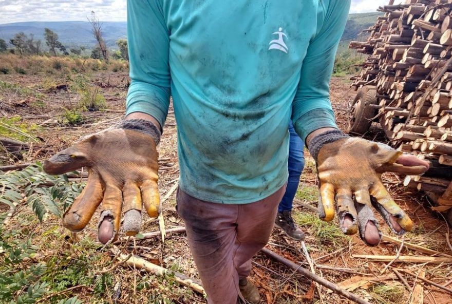 trabalhadores-resgatados-em-situacao-analoga-a-escravidao-em-sao-goncalo-do-rio-preto