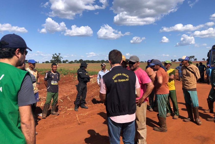 Trabalhadores foram resgatados de propriedades rurais em São Simão e Chapadão do Céu (Foto: Divulgação / Sup. Trabalho)