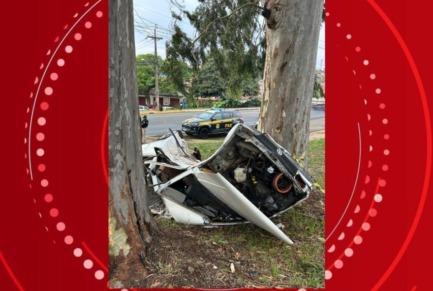 tragedia-em-apucarana3A-acidente-fatal-tira-a-vida-de-motorista-na-br-369