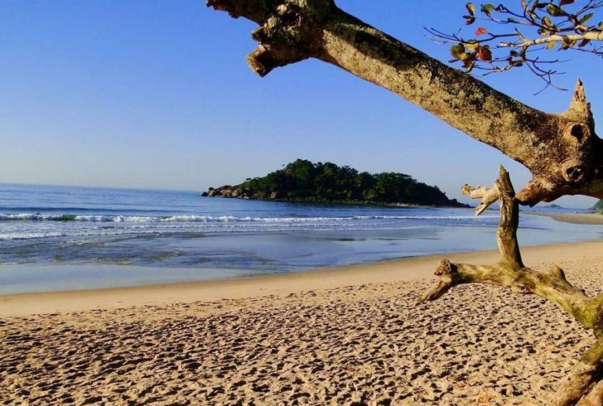 tragedia-em-bertioga3A-bombeiros-resgatam-corpos-de-vitimas-de-afogamento-investigacao-em-andamento-para-esclarecer-o-caso tragedia-em-bertioga3A-bombeiros-resgatam-corpos-de-vitimas-de-afogamento-investigacao-em-andamento-para-esclarecer-o-caso