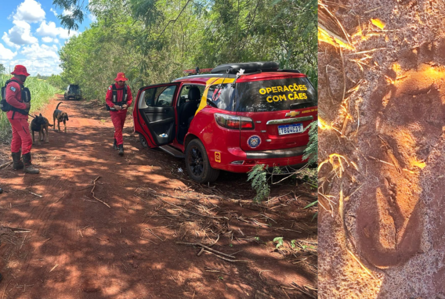 tragedia-em-sao-manoel-do-parana3A-morte-de-crianca-de-8-anos-choca-o-pais tragedia-em-sao-manoel-do-parana3A-morte-de-crianca-de-8-anos-choca-o-pais
