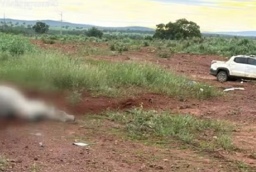 tragedia-na-br-2423A-colisao-deixa-dois-homens-e-um-boi-mortos-no-tocantins tragedia-na-br-2423A-colisao-deixa-dois-homens-e-um-boi-mortos-no-tocantins