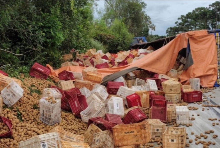 tragedia-na-sc-4773A-caminhoneiro-morre-em-acidente-com-carreta-de-batatas-em-major-vieira2C-sc tragedia-na-sc-4773A-caminhoneiro-morre-em-acidente-com-carreta-de-batatas-em-major-vieira2C-sc