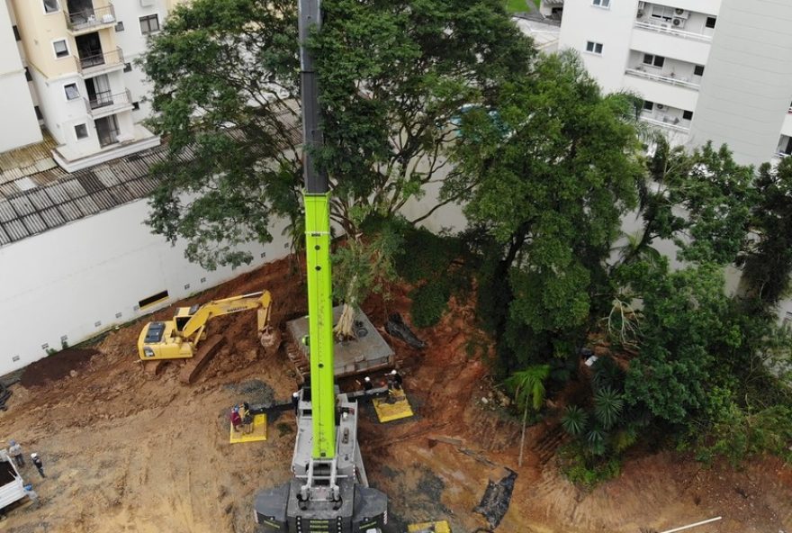 transplante-de-arvore-de-80-anos-e-60-toneladas-em-sc3A-operacao-rara-e-complexa