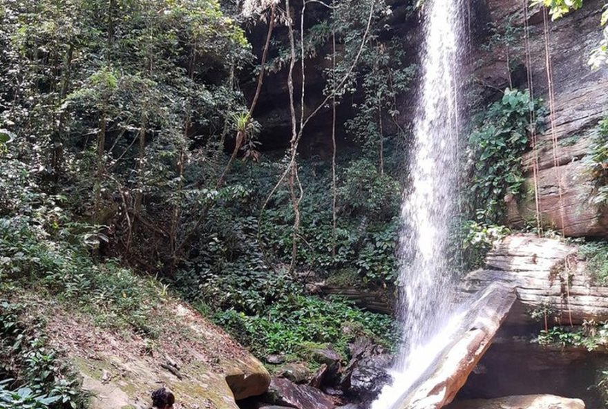 trilhas-no-amazonas3A-guia-da-dicas-para-evitar-acidentes-em-meio-a-mata