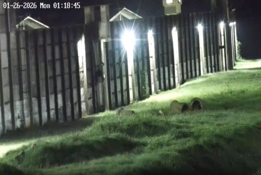 trio-de-presos-tenta-fugir-do-complexo-de-gericino-apos-fazer-buraco-em-parede trio-de-presos-tenta-fugir-do-complexo-de-gericino-apos-fazer-buraco-em-parede