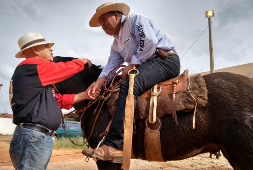 tropeada-paulista3A-comitiva-refaz-trajeto-dos-tropeiros-de-itarare-a-sorocaba-250-km-de-cavaleiros-cavalgando