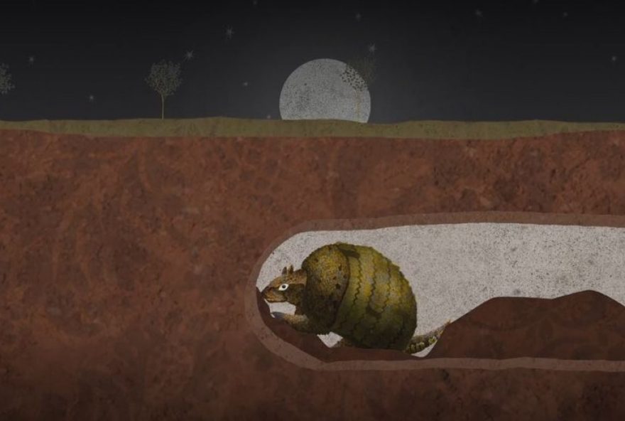 tuneis-com-mais-de-10-mil-anos-encontrados-em-sc3A-descubra-a-historia-por-tras-das-construcoes tuneis-com-mais-de-10-mil-anos-encontrados-em-sc3A-descubra-a-historia-por-tras-das-construcoes