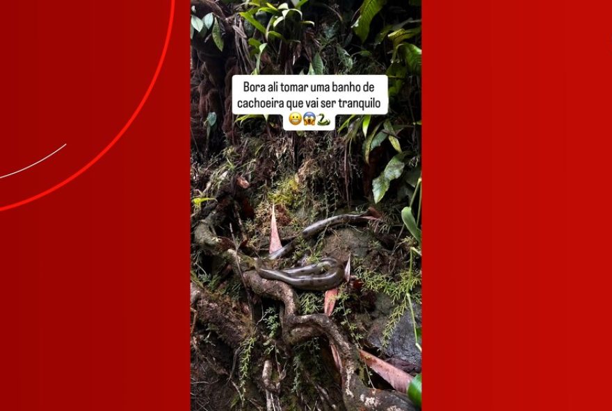 turistas-se-surpreendem-ao-encontrar-sucuri-em-cachoeira3A-video-viraliza.-medidas-preventivas-e-acoes-educativas-sao-destacadas turistas-se-surpreendem-ao-encontrar-sucuri-em-cachoeira3A-video-viraliza.-medidas-preventivas-e-acoes-educativas-sao-destacadas