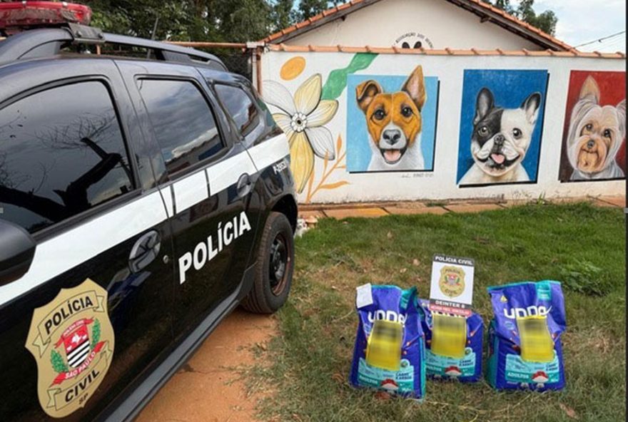 tutor-de-pitbulls-atacantes-faz-doacao-de-racao-para-abrigo-de-animais-abandonados-em-presidente-venceslau2C-sp