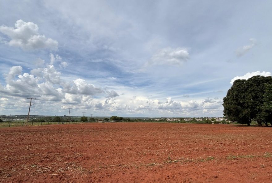 uberaba-aposta-no-cultivo-de-cacau3A-nova-fronteira-agricola-no-cerrado