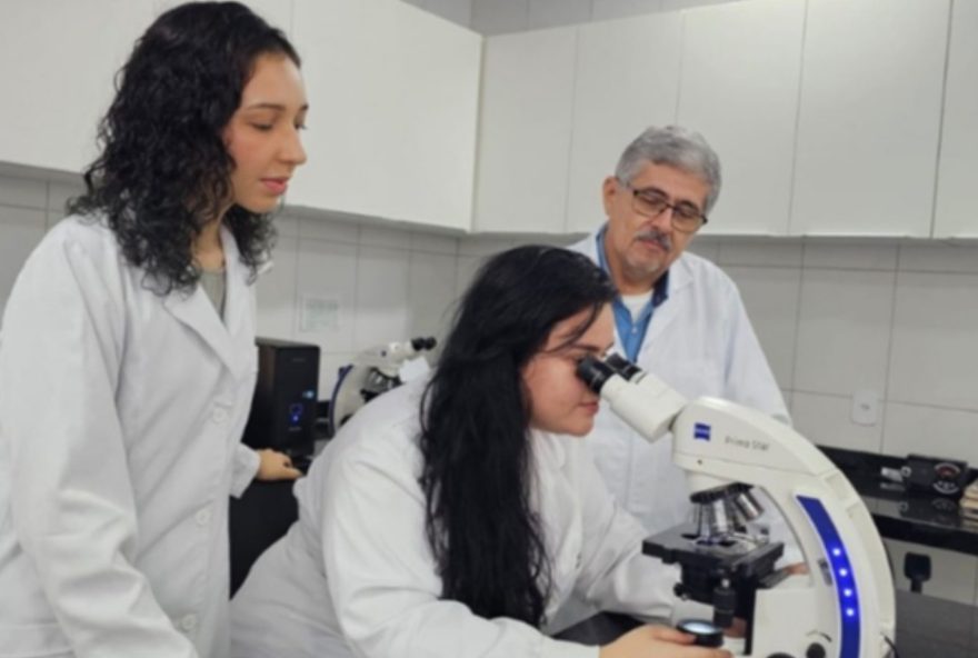 uema-realiza-pesquisa-para-aprimorar-diagnostico-da-leishmaniose-canina-no-maranhao3A-teste-rapido-vs-elisa uema-realiza-pesquisa-para-aprimorar-diagnostico-da-leishmaniose-canina-no-maranhao3A-teste-rapido-vs-elisa