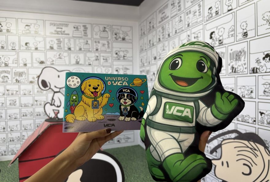 universo-vca3A-campanha-digital-une-familias-em-acao-nacional-e-inedita