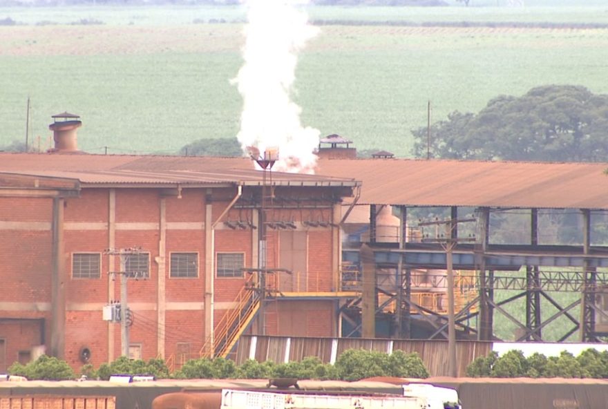 usina-condenada-a-pagar-r24-22C4-milhoes-por-morte-de-abelhas-em-sp