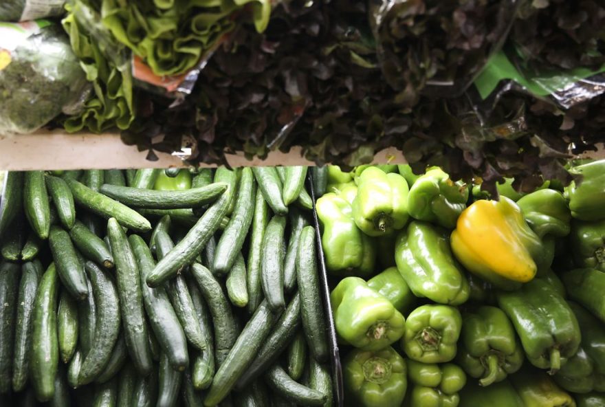 Pesquisa mostra que alimentos na mesa não refletem biodiversidade