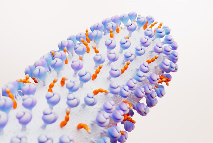 vacina-arexvy3A-nova-protecao-para-adultos-502B-com-comorbidade-aprovada-pela-anvisa