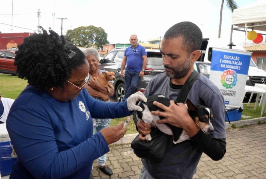 vacinacao-antirrabica-em-caes-e-gatos3A-salvador-inicia-campanha-com-mais-de-90-postos-de-aplicacao.-proteja-seu-animal