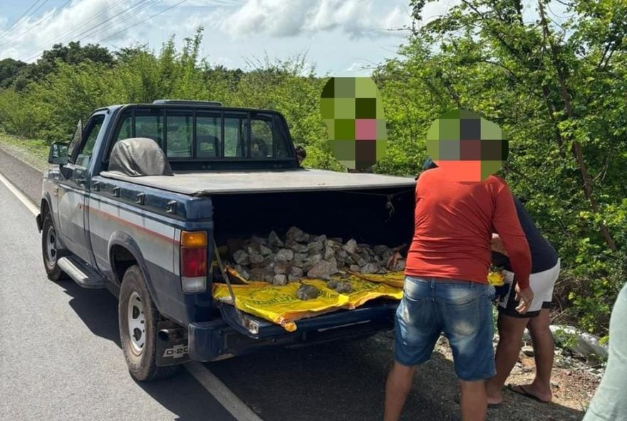 vandalos-sao-detidos-por-depredacao-em-rodovia-ma-0142C-em-viana2C-maranhao vandalos-sao-detidos-por-depredacao-em-rodovia-ma-0142C-em-viana2C-maranhao