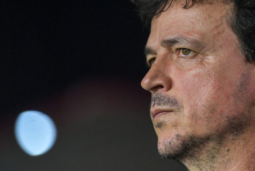 RJ - RIO DE JANEIRO - 02/11/2025 - BRASILEIRO A 2025, VASCO X SAO PAULO - Fernando Diniz tecnico do Vasco durante partida contra o Sao Paulo no estadio Sao Januario pelo campeonato Brasileiro A 2025. Foto: Thiago Ribeiro/AGIF