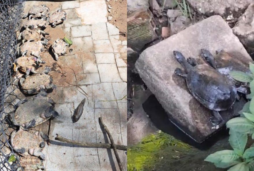 vazamento-de-combustivel-de-avioes-intoxica-cagados-no-recife3A-9-mortos-e-38-resgatados vazamento-de-combustivel-de-avioes-intoxica-cagados-no-recife3A-9-mortos-e-38-resgatados