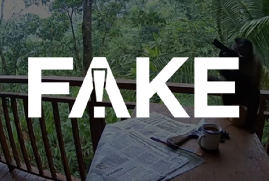 video-de-macaco-atirando-com-inteligencia-artificial-e-23fake3A-saiba-mais