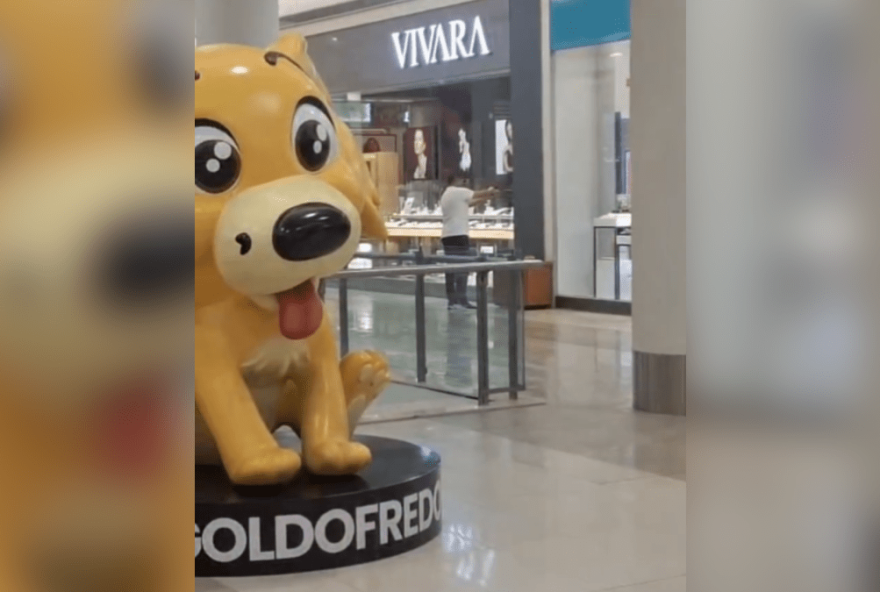 video-do-policial-que-evitou-tragedia-no-shopping-choca-populacao-e-gera-debate-sobre-violencia-contra-a-mulher3A-saiba-mais video-do-policial-que-evitou-tragedia-no-shopping-choca-populacao-e-gera-debate-sobre-violencia-contra-a-mulher3A-saiba-mais