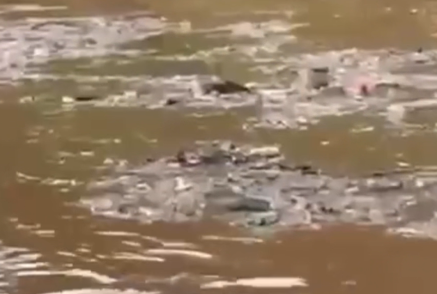 video-mostra-acumulo-de-lixo-no-rio-meia-ponte-apos-chuva-forte-em-goiania video-mostra-acumulo-de-lixo-no-rio-meia-ponte-apos-chuva-forte-em-goiania