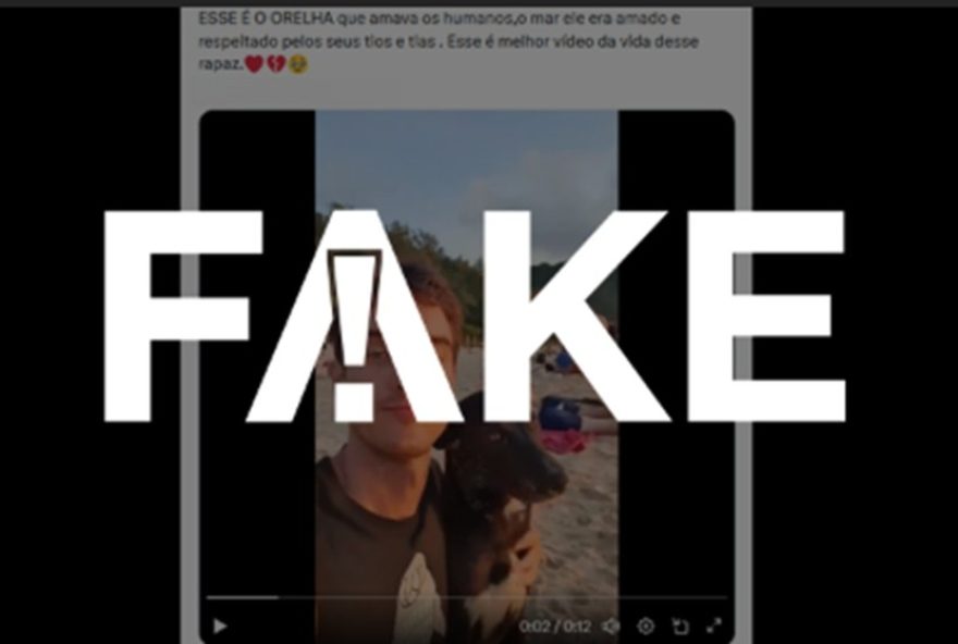 video-viral-de-cachorro-emociona-nas-redes2C-mas-alegacao-de-ser-cao-orelha-e-23fake3A-desvendando-a-verdade