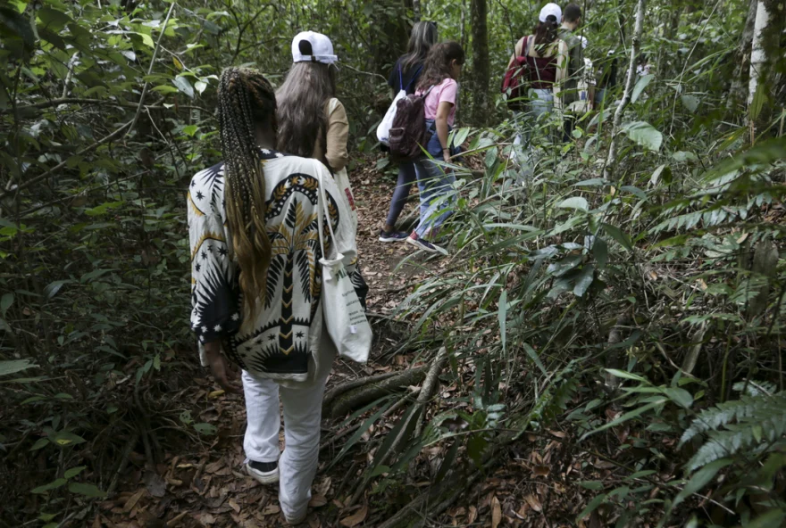 Seis crianças e adolescentes de diferentes regiões brasileiras conheceram,  um pouco da biodiversidade do Cerrado
(Foto: Reprodução/ Agência Brasil)