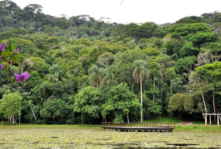 visite-o-jardim-botanico-em-juiz-de-fora3A-atracoes-e-dicas-de-visita
