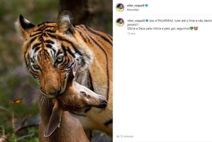 vitor-roque2C-artilheiro-do-palmeiras2C-confiante-para-julgamento-no-stjd3A-22cabeca-tranquila22 vitor-roque2C-artilheiro-do-palmeiras2C-confiante-para-julgamento-no-stjd3A-22cabeca-tranquila22