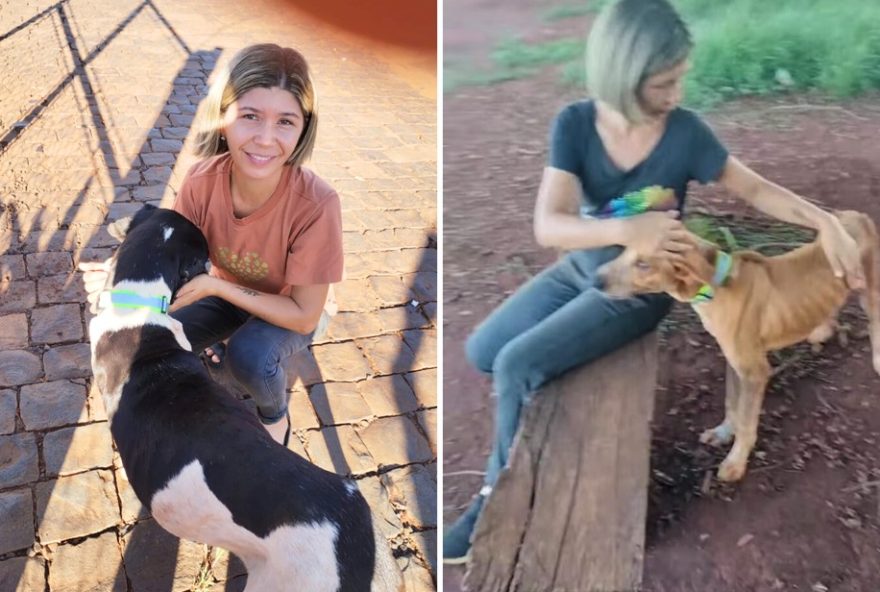 voluntaria-coloca-coleiras-refletivas-em-caes-de-rua-e-emociona-a-web3A-gesto-de-amor-e-protecao-aos-animais voluntaria-coloca-coleiras-refletivas-em-caes-de-rua-e-emociona-a-web3A-gesto-de-amor-e-protecao-aos-animais