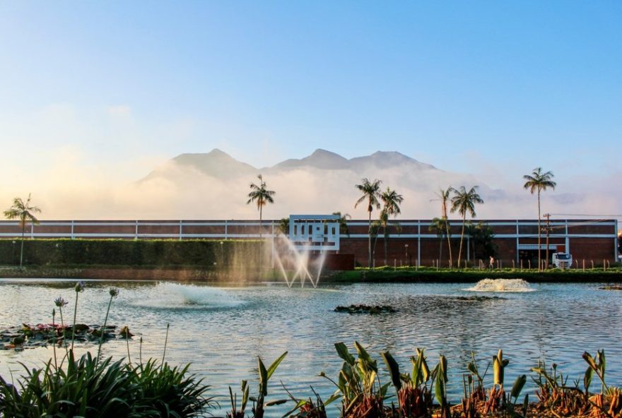 weg-anuncia-construcao-de-fabrica-de-sistemas-de-armazenamento-de-energia-em-sc weg-anuncia-construcao-de-fabrica-de-sistemas-de-armazenamento-de-energia-em-sc