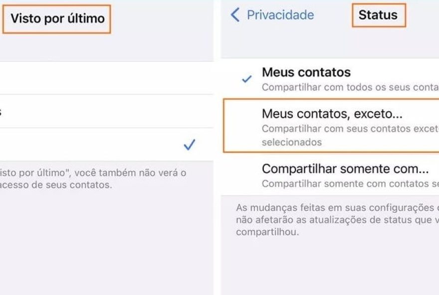 Novidade limita informação sobre horário do último acesso do usuário a públicos específicos. (Foto: Reprodução)