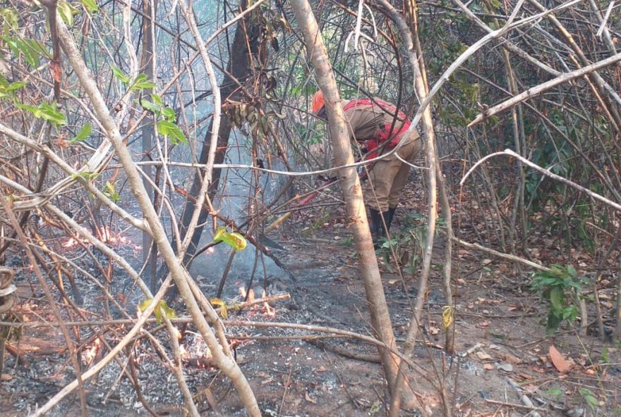 Bombeiros monitoram Chapada dos Veadeiros para novo desastre, como o que destruiu 14 mil hectares na região em 2021 (Foto: Arquivo / Corpo de Bombeiros GO)