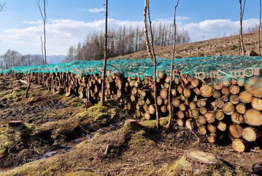 world-record-bug-hotel-3