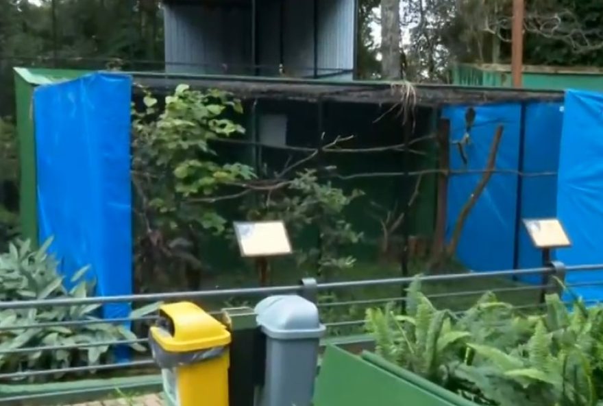 zoologico-de-cascavel-se-adapta-no-inverno-com-lonas-e-alimentacao-especial